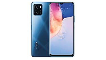 vivo.jpg