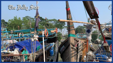 robber_in_sea_news_plus_for_web.jpg
