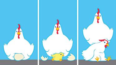 hen.jpg