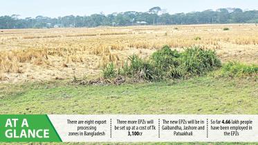 patuakhali-epz.jpg