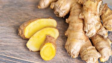 ginger.jpg