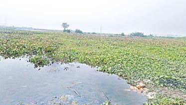 waterlogging-farmland-1.jpg