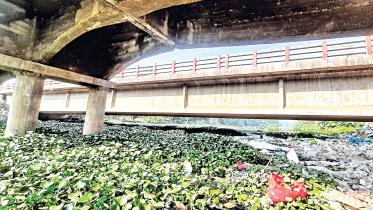 mayur-river.jpg