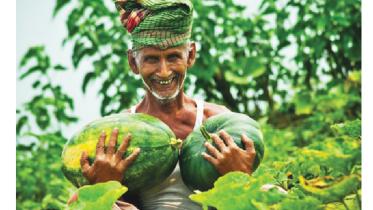 farmers-to-get.jpg