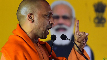 yogi1.jpg