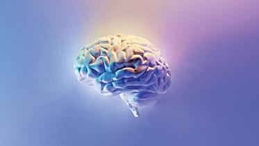 brain.jpg
