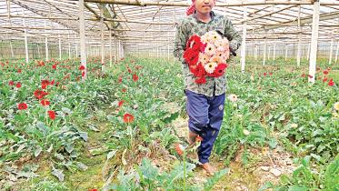 flower-growers-1.jpg