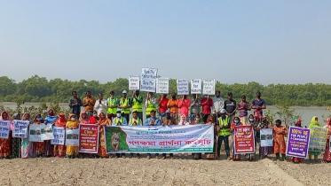 Sundarbans Day