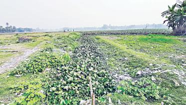 burai-river-1.jpg
