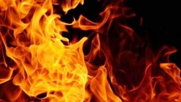 fire-web.jpg