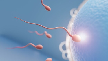 motility.jpg