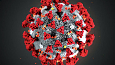 the-covid-19-pandemic.jpg