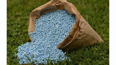 fertiliser.jpg