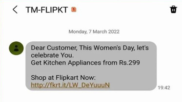 flipkart_1_web.jpg