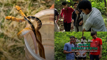 ib_snake_rescue_web.jpg