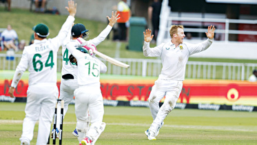 cricket.jpg