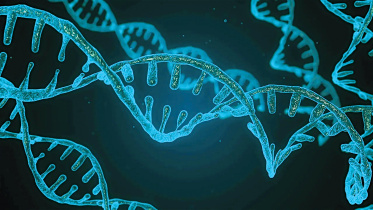 genome.jpg