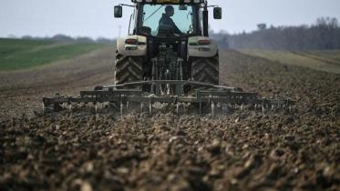 ukraine-war-sows.jpg