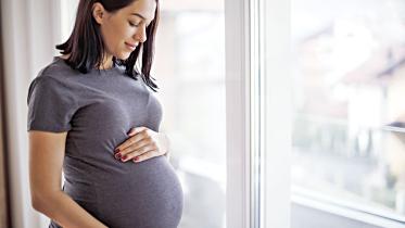 pregnancy.jpg