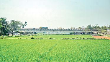 baliakhali-bridge-1.jpg