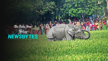 newsbytes-new-thumbnai-web.jpg
