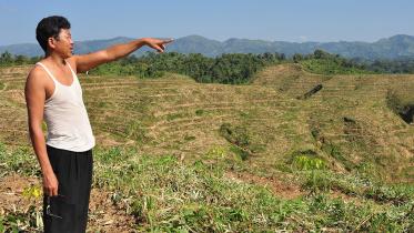 ending-deforestation.jpg