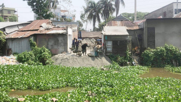 pond_pic.jpg