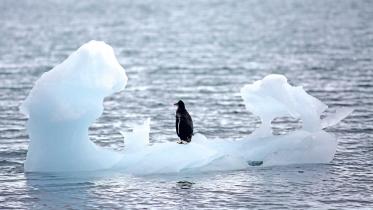climate-change3.jpg