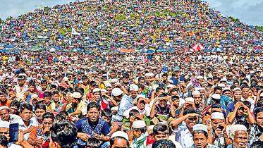protection-of-rohingyas.jpg