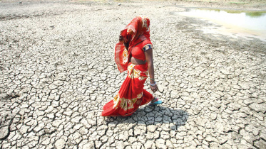 india.jpg