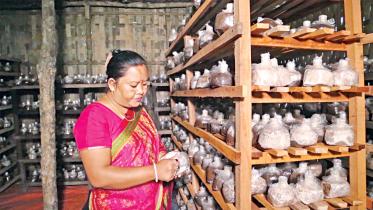 Mushroom farming in Bangladesh hills