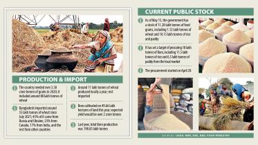 Rice production in Bangladesh: Prepare for pressure on rice 