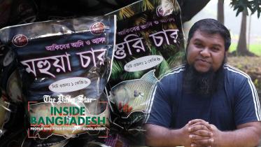 inside-bd-thumbnail-web.jpg