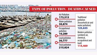 pollu.jpg
