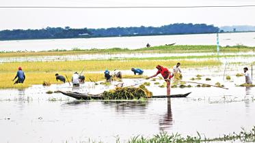 sylhet.jpg