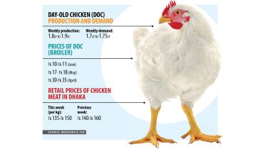 chicken-meat.jpg
