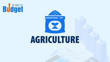 Tk 16,000 crore subsidy for fertiliser proposed