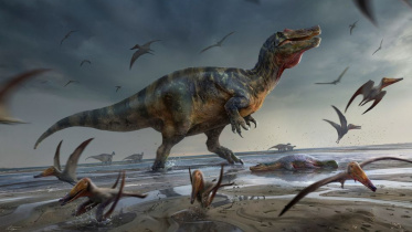 dino.jpg