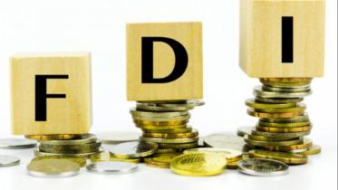 Fragmenting foreign direct investment 