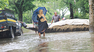 flood.jpg