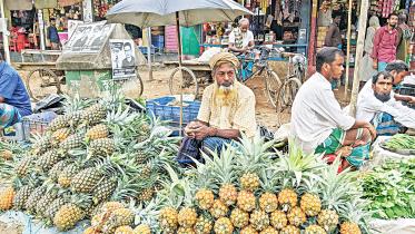 pineapple-1.jpg