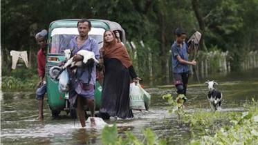 flood-loss-livestock-poultry.jpg