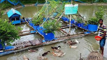 nature-based-solutions.jpg