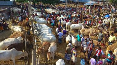 a_cattle_market_1.jpg