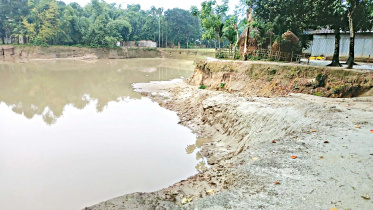 pond.jpg