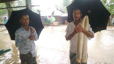 umbrella.jpg