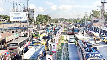 tamgao.jpg