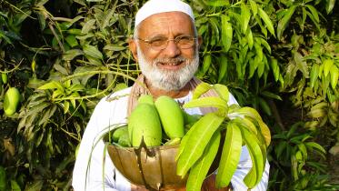 indian mango man
