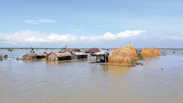 flood.jpg