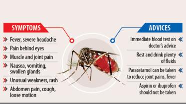 dengue_f.jpg